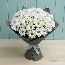 Букет цветов из:  Хризантемы #REPLACE_PRED# Ореховке
