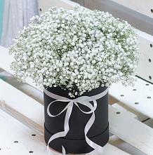 Цветочная композиция из Гипсофила в шляпной коробке #REPLACE_PRED# Ореховке