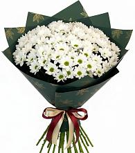 Букет цветов из:  Хризантемы #REPLACE_PRED# Ореховке