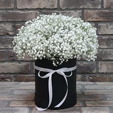 Цветочная композиция из Гипсофила в шляпной коробке в Ореховке