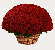 Премиум букет из: Розы #REPLACE_PRED# Ореховке